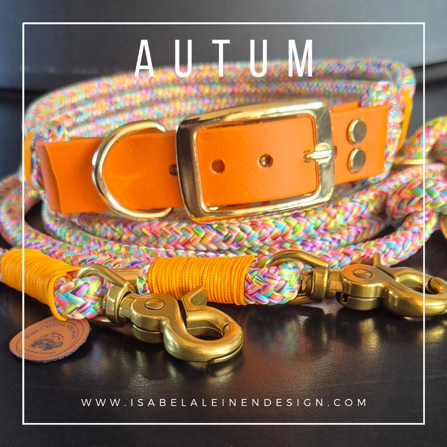 Leinen und Halsband Sets Isabelaleinendesin